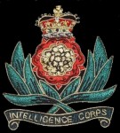 Intelligence Corps-tn